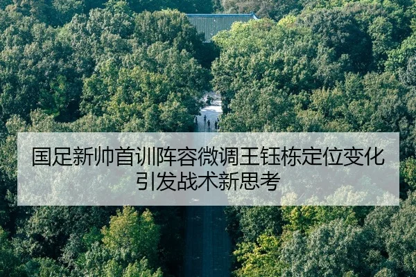 国足新帅首训阵容微调王钰栋定位变化引发战术新思考（bet188）